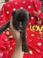 processed/0015b45a-9949-4595-b7d0-db0bac068331/listing/972d0c56-b0f5-48a0-8cbc-f8af426ef5d1/312dca91-5f6f-4e15-8635-f5076a237f4a