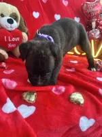 processed/0015b45a-9949-4595-b7d0-db0bac068331/listing/972d0c56-b0f5-48a0-8cbc-f8af426ef5d1/41905ee5-c730-427b-96ab-b5dd98e5324c