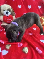 processed/0015b45a-9949-4595-b7d0-db0bac068331/listing/972d0c56-b0f5-48a0-8cbc-f8af426ef5d1/4b79417d-f23d-42bc-bc29-4c8482dcb733