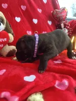 processed/0015b45a-9949-4595-b7d0-db0bac068331/listing/972d0c56-b0f5-48a0-8cbc-f8af426ef5d1/d142d518-9df2-47b8-b450-76b97f4a13d8