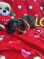 processed/0015b45a-9949-4595-b7d0-db0bac068331/listing/9b3507e3-a8ef-4b7c-9c5d-6ea70646db07/0d09e6e9-402e-4c84-b11d-acdeb91f5e4f