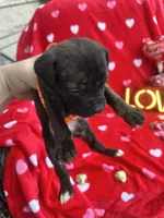 processed/0015b45a-9949-4595-b7d0-db0bac068331/listing/9b3507e3-a8ef-4b7c-9c5d-6ea70646db07/2834e9d5-44d5-49e8-802f-150fc11b492b