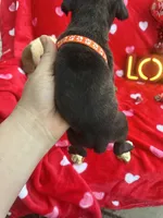 processed/0015b45a-9949-4595-b7d0-db0bac068331/listing/9b3507e3-a8ef-4b7c-9c5d-6ea70646db07/2940bfad-cfbd-4c1b-bee0-645ba667b3cb