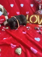 processed/0015b45a-9949-4595-b7d0-db0bac068331/listing/9b3507e3-a8ef-4b7c-9c5d-6ea70646db07/49a6a0fa-7202-4a17-a64b-46c10943bd1d