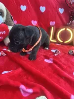 processed/0015b45a-9949-4595-b7d0-db0bac068331/listing/9b3507e3-a8ef-4b7c-9c5d-6ea70646db07/725f6170-3f75-4c8d-a6cf-bfef27a63068