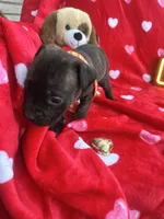 processed/0015b45a-9949-4595-b7d0-db0bac068331/listing/9b3507e3-a8ef-4b7c-9c5d-6ea70646db07/9df3c9a5-8469-43ef-be63-b4af76548f2b