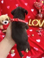 processed/0015b45a-9949-4595-b7d0-db0bac068331/listing/9b3507e3-a8ef-4b7c-9c5d-6ea70646db07/c5f01f42-4693-434d-84af-bdb8186503cf