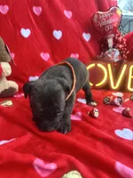 processed/0015b45a-9949-4595-b7d0-db0bac068331/listing/9b3507e3-a8ef-4b7c-9c5d-6ea70646db07/c656d2de-04ba-4511-a07a-4e9d81594151