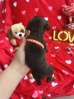 processed/0015b45a-9949-4595-b7d0-db0bac068331/listing/9b3507e3-a8ef-4b7c-9c5d-6ea70646db07/cec5fa1b-f561-4375-83bb-db976fd92bc1