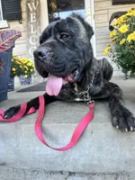 processed/0015b45a-9949-4595-b7d0-db0bac068331/listing/cd06422c-ed6e-47a2-a079-96b6e7b8ef04/0950025d-80cc-435e-8870-9539a1c62432