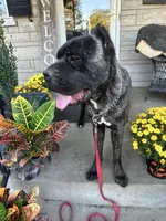 processed/0015b45a-9949-4595-b7d0-db0bac068331/listing/cd06422c-ed6e-47a2-a079-96b6e7b8ef04/3be155f4-c487-4ef9-a8a2-166d8867bd5b