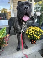 processed/0015b45a-9949-4595-b7d0-db0bac068331/listing/cd06422c-ed6e-47a2-a079-96b6e7b8ef04/541ef122-aecf-4bcf-b715-d71da8d5ff40