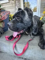 processed/0015b45a-9949-4595-b7d0-db0bac068331/listing/cd06422c-ed6e-47a2-a079-96b6e7b8ef04/565a7d04-22cb-41cd-abb3-192635763ee2