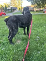 processed/0015b45a-9949-4595-b7d0-db0bac068331/listing/cd06422c-ed6e-47a2-a079-96b6e7b8ef04/8bbcbca9-eb36-41b6-8512-f9c754da7411