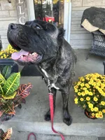 processed/0015b45a-9949-4595-b7d0-db0bac068331/listing/cd06422c-ed6e-47a2-a079-96b6e7b8ef04/aa0ddb54-9496-47f1-b5a7-159c7b3db2e1