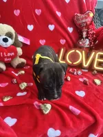 processed/0015b45a-9949-4595-b7d0-db0bac068331/listing/dc6e3c14-78f7-4070-829c-d92f92686815/059f7008-bb88-4ebd-88a3-f06738864e21