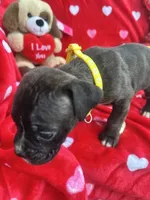 processed/0015b45a-9949-4595-b7d0-db0bac068331/listing/dc6e3c14-78f7-4070-829c-d92f92686815/293f92fa-4ea9-4ff1-b2d2-ca3446e0c574