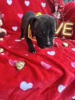 processed/0015b45a-9949-4595-b7d0-db0bac068331/listing/dc6e3c14-78f7-4070-829c-d92f92686815/56f69bab-740c-4abb-af6c-4641a8e62a5b