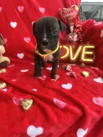 processed/0015b45a-9949-4595-b7d0-db0bac068331/listing/dc6e3c14-78f7-4070-829c-d92f92686815/93170d09-9e4c-49aa-911c-56a0afa9473a