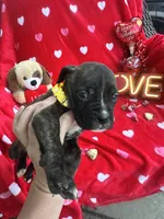 processed/0015b45a-9949-4595-b7d0-db0bac068331/listing/dc6e3c14-78f7-4070-829c-d92f92686815/bdae156f-af0b-4b37-80e6-a307dffea199