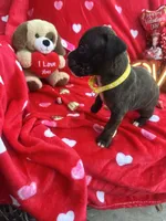 processed/0015b45a-9949-4595-b7d0-db0bac068331/listing/dc6e3c14-78f7-4070-829c-d92f92686815/c2e2f8b0-c4a3-4066-a097-8e01adcf8790