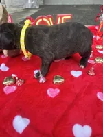 processed/0015b45a-9949-4595-b7d0-db0bac068331/listing/dc6e3c14-78f7-4070-829c-d92f92686815/c6ac212a-92db-48d5-a388-26221c719ba1