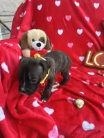 processed/0015b45a-9949-4595-b7d0-db0bac068331/listing/dc6e3c14-78f7-4070-829c-d92f92686815/f3601f8b-072f-4815-9fa7-4f7d0900749b