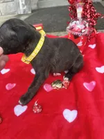 processed/0015b45a-9949-4595-b7d0-db0bac068331/listing/dc6e3c14-78f7-4070-829c-d92f92686815/ffb89a91-44e4-4e20-8e84-e4e2e806b138