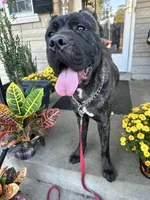 processed/0015b45a-9949-4595-b7d0-db0bac068331/listing/f109fddd-e019-4e75-8468-54e9f3fa68a3/05e0f76a-6f72-4615-8d67-e8528dd2cb8b