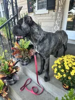 processed/0015b45a-9949-4595-b7d0-db0bac068331/listing/f109fddd-e019-4e75-8468-54e9f3fa68a3/4245703d-12bd-4aac-8a2b-2a48a4d93bfd