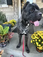 processed/0015b45a-9949-4595-b7d0-db0bac068331/listing/f109fddd-e019-4e75-8468-54e9f3fa68a3/53397e0b-0cf0-4c4e-b7d1-683991423300