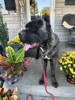 processed/0015b45a-9949-4595-b7d0-db0bac068331/listing/f109fddd-e019-4e75-8468-54e9f3fa68a3/ce0d399b-5d38-4d72-875d-b26062d2d9a2