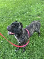 processed/0015b45a-9949-4595-b7d0-db0bac068331/listing/f109fddd-e019-4e75-8468-54e9f3fa68a3/d30916c9-df73-4244-a6b3-06433ea67b83