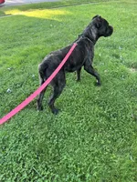 processed/0015b45a-9949-4595-b7d0-db0bac068331/listing/f109fddd-e019-4e75-8468-54e9f3fa68a3/d97d5806-bee4-42ec-8d93-8b2e95db5867