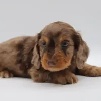 processed/001c64cd-a28a-40e6-b868-65407bf99bf1/facility/bae9c0fa-7f21-4a7d-ab2d-68f3473f1a51