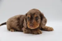 processed/001c64cd-a28a-40e6-b868-65407bf99bf1/facility/bae9c0fa-7f21-4a7d-ab2d-68f3473f1a51