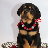 processed/001c64cd-a28a-40e6-b868-65407bf99bf1/facility/c509c200-c007-4f43-9369-672281e190d6