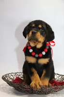 processed/001c64cd-a28a-40e6-b868-65407bf99bf1/facility/c509c200-c007-4f43-9369-672281e190d6