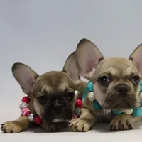 processed/001c64cd-a28a-40e6-b868-65407bf99bf1/facility/d228617a-3fd9-4fab-b73d-c5a009152165