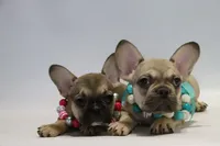 processed/001c64cd-a28a-40e6-b868-65407bf99bf1/facility/d228617a-3fd9-4fab-b73d-c5a009152165