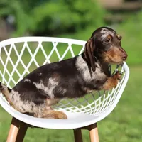 processed/001c64cd-a28a-40e6-b868-65407bf99bf1/facility/f6ae2d38-746c-401e-b3d4-069cd187d19d