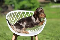 processed/001c64cd-a28a-40e6-b868-65407bf99bf1/facility/f6ae2d38-746c-401e-b3d4-069cd187d19d