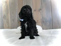 processed/001d64a9-2bec-4d57-a342-bde9cde89e8a/listing/414a3581-57c2-49ba-89a6-60d58da9a4a2/3bcb1f4e-18f6-4848-8959-21e1aa040040