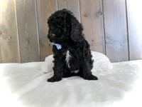 processed/001d64a9-2bec-4d57-a342-bde9cde89e8a/listing/414a3581-57c2-49ba-89a6-60d58da9a4a2/e567970d-c168-4bf4-a4e6-664a146691fb