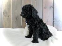 processed/001d64a9-2bec-4d57-a342-bde9cde89e8a/listing/414a3581-57c2-49ba-89a6-60d58da9a4a2/e74cec11-bc3c-4997-bdb2-e3f8746ea107