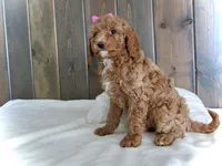 processed/001d64a9-2bec-4d57-a342-bde9cde89e8a/listing/4a449bc9-59fd-408d-a43d-b5c2a9da66d8/3e8c9db6-838a-4288-bb17-d1c36d03cbf2