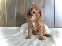 processed/001d64a9-2bec-4d57-a342-bde9cde89e8a/listing/4a449bc9-59fd-408d-a43d-b5c2a9da66d8/5b4d12b7-1e4a-42ff-b89d-d2df9370ff42