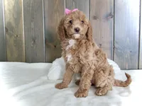 processed/001d64a9-2bec-4d57-a342-bde9cde89e8a/listing/4a449bc9-59fd-408d-a43d-b5c2a9da66d8/90377bfd-07f7-4b9e-b249-3a3b9e1a097d