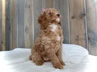 processed/001d64a9-2bec-4d57-a342-bde9cde89e8a/listing/4a449bc9-59fd-408d-a43d-b5c2a9da66d8/ab30e251-a224-490f-b814-32a8c4187502