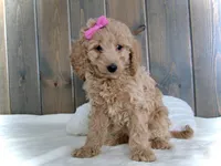 processed/001d64a9-2bec-4d57-a342-bde9cde89e8a/listing/57cab68c-94fe-4491-ba60-2db3fe3eb284/17bf236e-b29c-404a-9602-955607236162